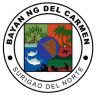 Barefoot IT | Bayan ng Del Carmen